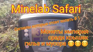 Поиск монет и реликвий с Minelab Safari Сигналы которые стоит копать.