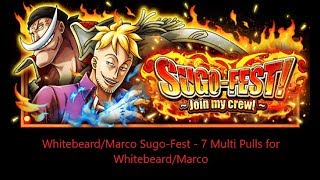Whitebeard/Marco Sugo-Fest - 7 Multi Pulls