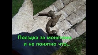 Поиск с металлоискателем Minelab Safari.