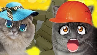 ДОМ ИЗ КОРОБОК РАЗРУШЕН. Смешной Кот Макс и Кошка Матильда - кто же виноват?