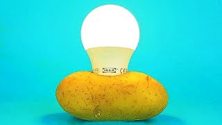17 EASY SCIENCE EXPERIMENTS THAT LOOK LIKE MAGIC