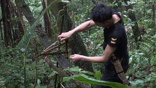 [4K] Ground squirrel trap, episode 10, survival in the forest