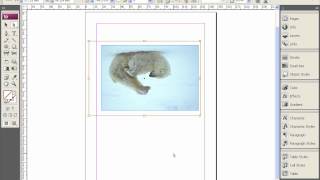 Импорт изображений и помещение их во фреймы в Adobe InDesign