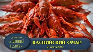 Ловля раков.Видео о том, как ловить раков, какие исползовать приманки.