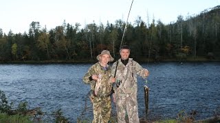 Заезд в район р.Гобилли и по р.Анюй вверх с Клубом "ХариУС"