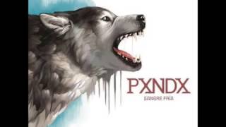 Panda - Usted [Oficial]