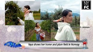[ENG SUB]  Yaya Shows Her Home And Plum Field in Norway | CH3Family’s Midnight family 20/8/18