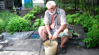 НАСТОЙКА из ПОЛЫНИ как СДЕЛАТЬ
