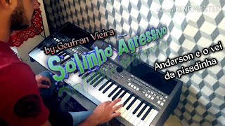 Solinho Agressivo, Ritmo (Anderson cantor e o vei da pisadinha)