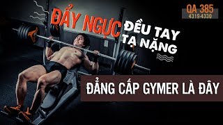 QA 385 - Đẩy ngực đều tay tạ nặng, đẳng cấp gymer là đây