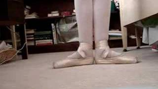 My Dead Sansha Recital Pointe Shoes