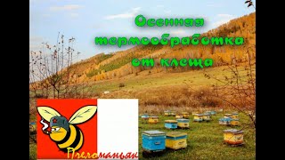 Термическая обработка от клеща. 27 октября 2019 г.