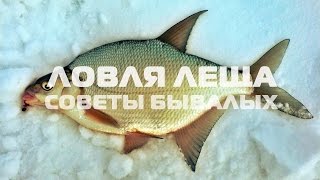 Ловля леща зимой.  Советы бывалых.