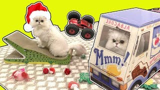 CLOUD FUN PLAYING FUNNY SURPRISE TOYS!