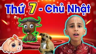 Giới Tiên Tri Tử Vi Học khẳng Định Chính Xác 100%, 3 Tuổi Này Sắp Giàu Vì Dịch, TRÚNG QUẢ ĐỔI ĐỜI.