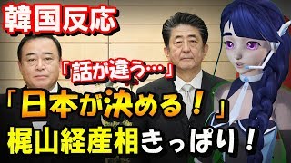 【韓国の反応】「日本が決める！」梶山経産相、韓国にきっぱり「その場で結論が出ることは無い」日韓局長級対話