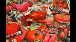 Какие Томаты Я Больше Не Буду Сажать! Семена Томатов.