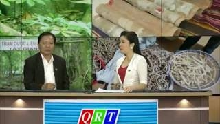 Công dụng chữa bệnh thật sự & sự khác nhau giữ Nấm Linh Chi - Nấm Lim Xanh