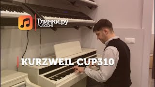 Цифровое пианино KURZWEIL CUP310 - Александр Шевченко- Глинки.Ру PLAYZONE