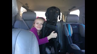 My Diabetic Alert Dog is here!!!