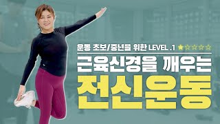 초보자/중년을 위한 홈트레이닝 운동루틴! 체력강화 전신운동