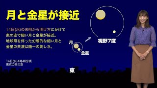 【星空情報】14日(水)の未明から明け方は、月と金星が接近