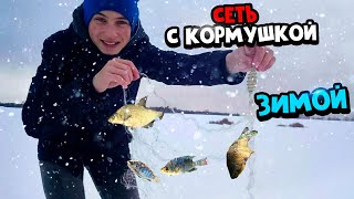 СЕТЬ С КОРМУШКОЙ ЗИМОЙ! РОЗЫГРЫШ