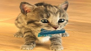 Little Kitten & Friends - Learn with the cutest cat! (Fox and Sheep) Part 18 - Best App For Kids