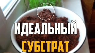 Кокосовый субстрат. Коко-грунт для рассады.