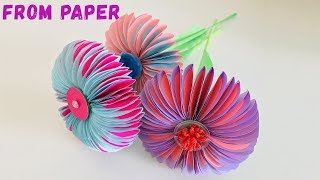 FLOWERS OF PAPER. Как сделать цветы из бумаги своими руками на 8 марта. Оригами. (Эмилия)