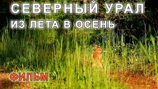 Северный Урал Из Лета в Осень. Фильм
