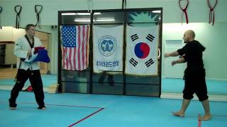 Taekwondo Advanced Sparring Techniques Vol 1