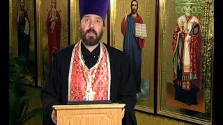 10 ноября. Свт. Димитрий, митр. Ростовский
