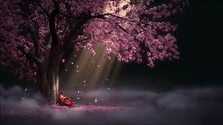 1 Hour of Beautiful Chinese Music Selection