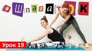 Наклон к ногам сидя | Проект # ШпагатОК | Сядь на шпагат