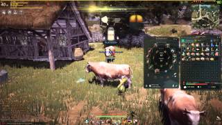 Black Desert GamePlay#9 Добыча молока для кулинарии