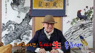 2020년 경자년 용띠生 1년총운세 토정비결 사주팔자