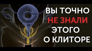 Клитор. Топ 10 фактов о клиторе, которые ты точно не знал. Стимуляция. Оргазм.