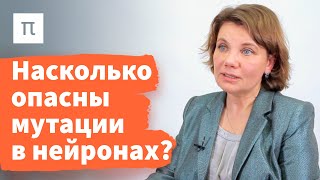Эпигенетика обучения и мутагенез нейронов — Варвара Дьяконова 