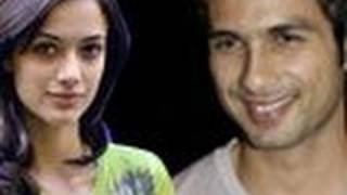 Ranbir's girl Angela DATING Shahid Kapoor