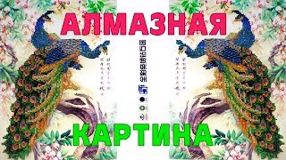 Шикарная алмазная картина. Очень впечатляет!