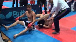 giga tuaevi (Geo vs Arm)