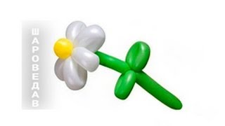 Ромашка из шаров шдм / Daisy of balloons.