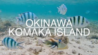 魚の天国沖縄コマカ島 KOMAKA ISLAND
