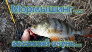 Ультралайт, мормышинг, ловля окуня весной...рыбалка  20 марта...