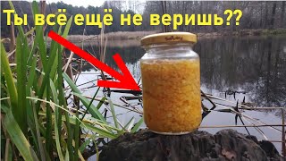 Карась зимой. Секретный мотыль..Рыбалка в Декабре.Ловля  зимой на поплавок.