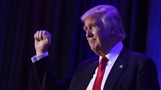 Trump triumphs, but US election reveals a divided nation