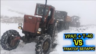 Трактор Беларусь против УРАЛ и Т 40 | КТО ПОБЕДИТЬ?
