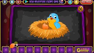 G4E Bear Rescue Walkthrough[G4E]