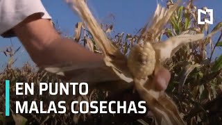 En Punto con Denise Maerker - Programa Completo 28 enero 2020